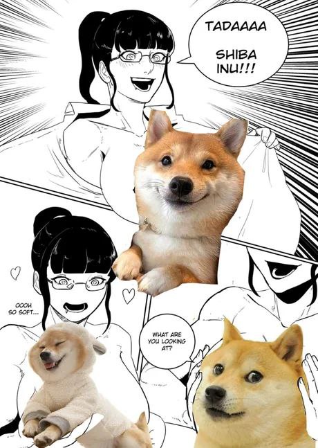 TADAAAA SHIBA 7 IN $0 SOF