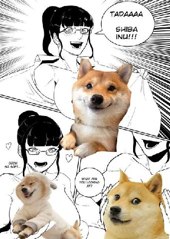 TADAAAA SHIBA 7 IN $0 SOF