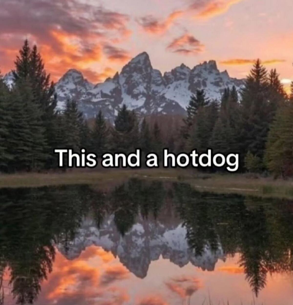 This and a hotdog