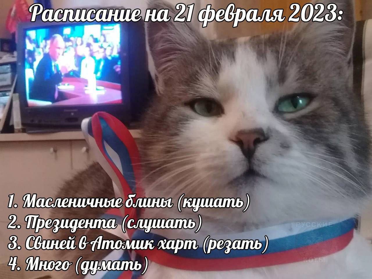 Расписание на 21 февраля 2023: 1. Масленичные длины (кушать 2. Президента, (слушать) 3. Свиней 6 Птомик xapm (резать) 4. Иного: