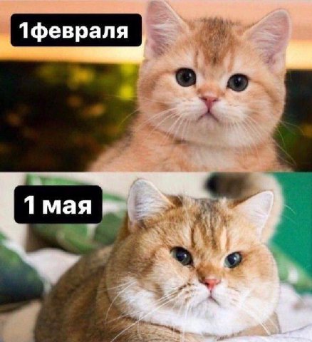 1февраля 1 мая