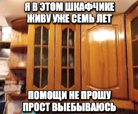 ШКАФЧИКЕ СЕМЬ ЛЕТ a ПОМОЩИ НЕ ПРОШУ ПРОСТ ВЫЕБЫВАЮСЬ