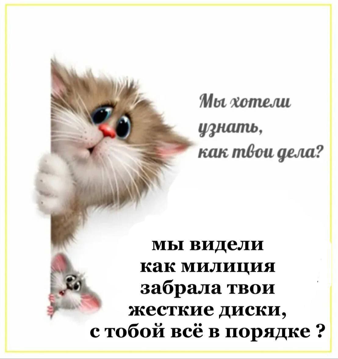 Мы хотели, узнать, как mbou дела? мы видели как милиция забрала твои жесткие диски, с тобой всё в порядке