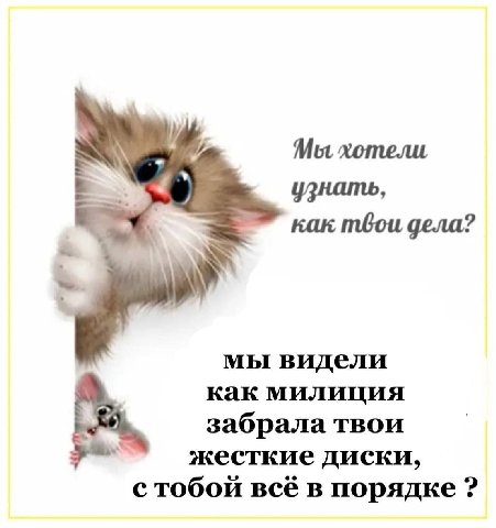 Мы хотели, узнать, как mbou дела? мы видели как милиция забрала твои жесткие диски, с тобой всё в порядке