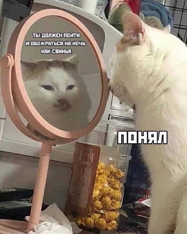 ТЫ ДОЛЖЕН ПОЙТИ И ОБОЖРАТЬСЯ НА НОЧЬ КАК СВИНЬЯ