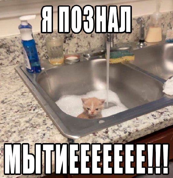 В 7 7