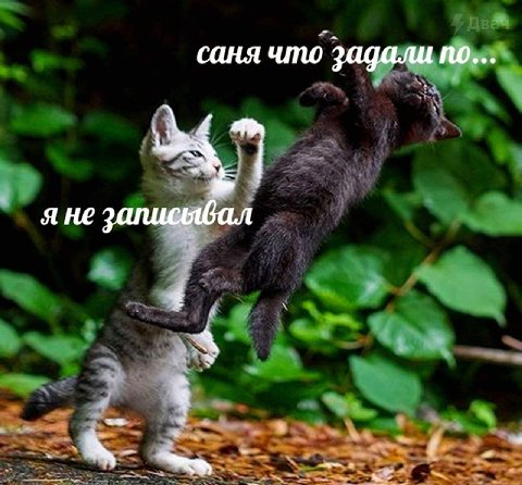 саня что задали a я не 4 as a