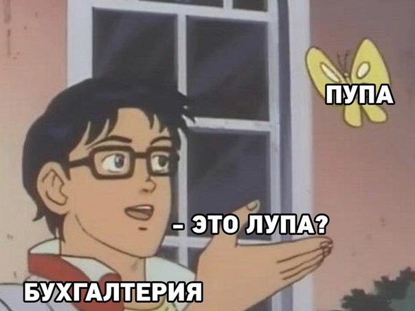 ПУПА ЭТО ЛУПА? БУХГАЛТЕРИЯ