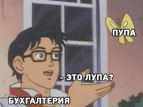 ПУПА ЭТО ЛУПА? БУХГАЛТЕРИЯ