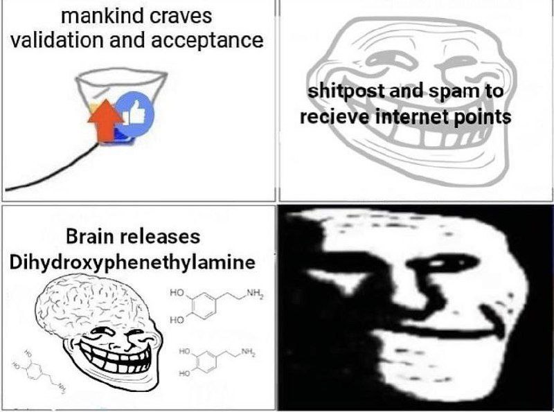 mankind craves validation and acceptance shitpost to recieve internet points Brain releases Dihydroxyphenethylamine