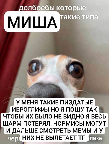 доле Jee которые И А такие типа У МЕНЯ ТАКИЕ ПИЗДАТЫЕ ИЕРОГЛИФЫ НО Я ПОЩУ ТАК i ЧТОБЫ БЫЛО НЕ ВИДНО Я ВЕСЬ ШАРМ ПОТЕРЯЛ, НОРМИСЫ МОГУТ ДАЛЬШЕ СМОТРЕТЬ МЕМЫ И НИХ HE ВЫЛЕТАЕТ лике