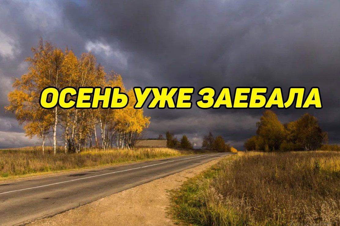 Скорей бы лето