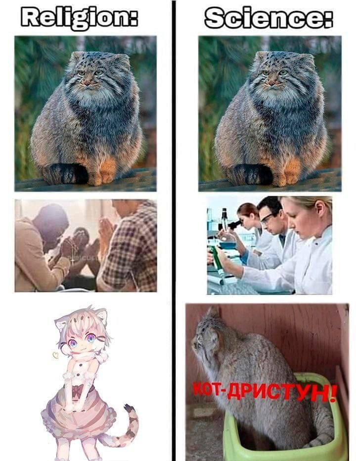 Religion: 5 ‘i К. 43 У