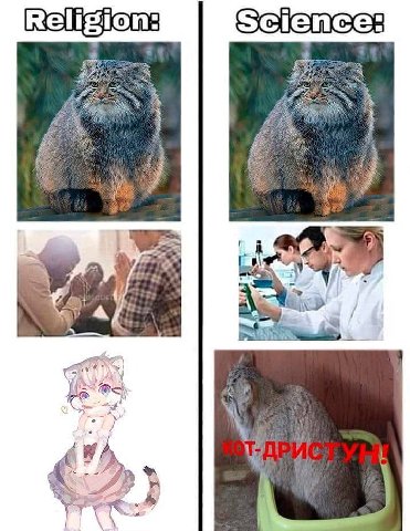 Religion: 5 ‘i К. 43 У
