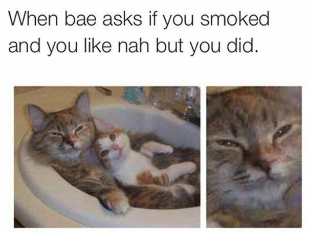 When bae asks if you smoked and you like nah but you did.