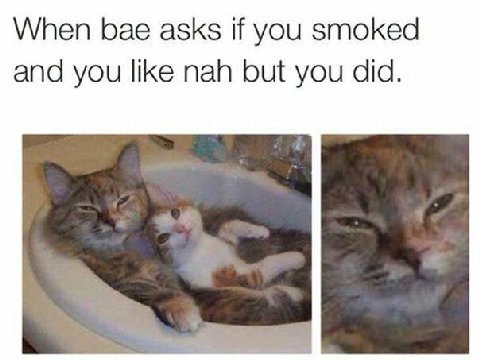 When bae asks if you smoked and you like nah but you did.