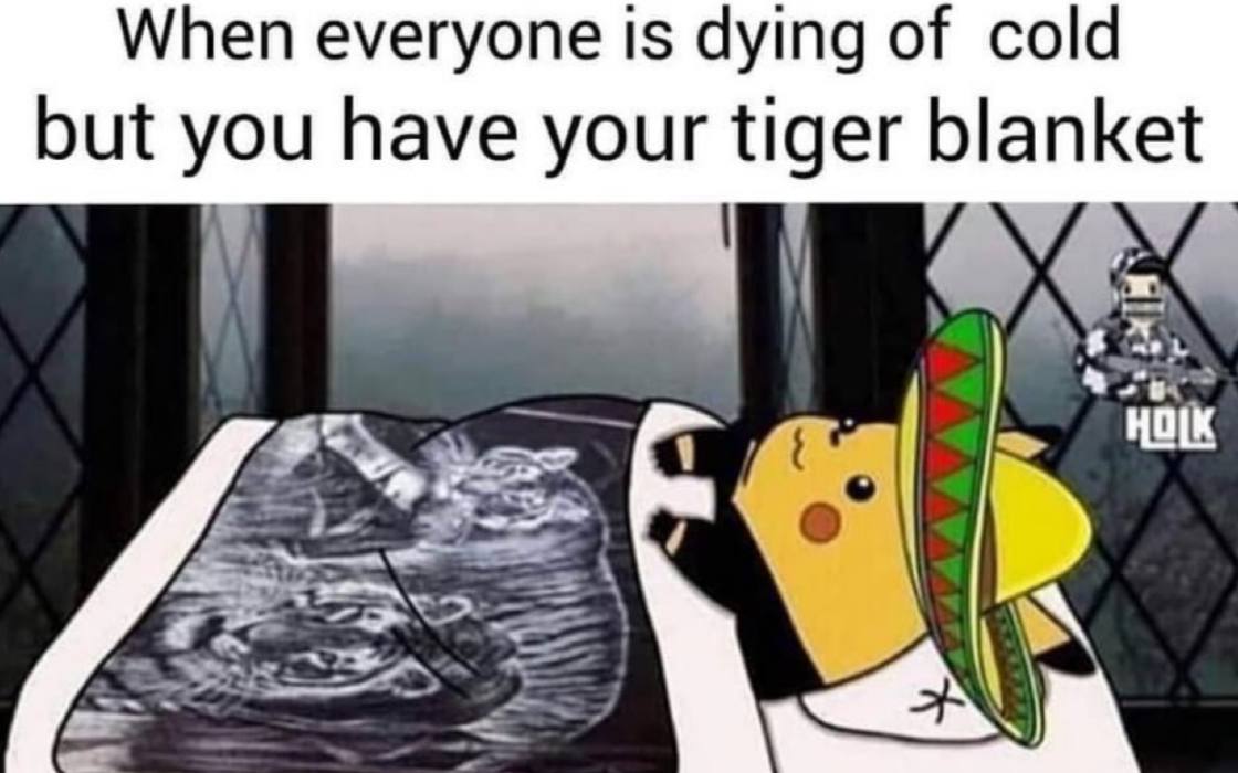 When everyone is dying of cold but you have your tiger blanket нок