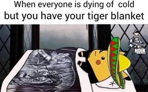 When everyone is dying of cold but you have your tiger blanket нок