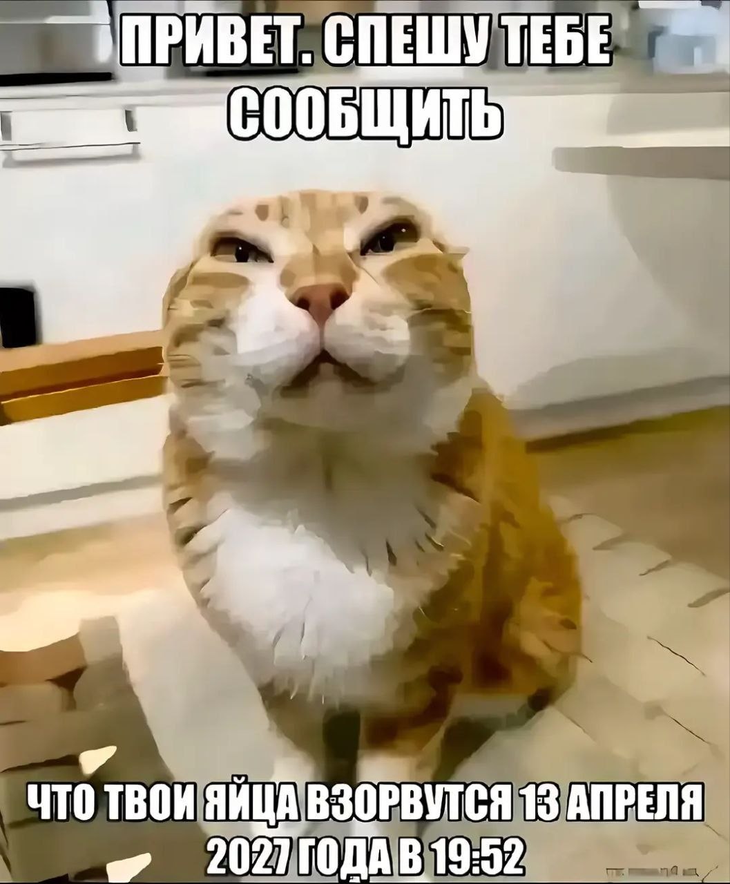 СПЕШУ ТЕБЕ С ЧТО ТВОИ ЯИЦА ВЗОРВУТСЯ 13 АПРЕЛЯ я 19:52