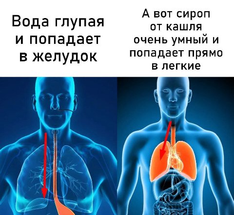 А вот сироп Вода глупая от кашля и попадает очень умный и в желудок попадает прямо в легкие