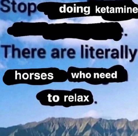 (don't)