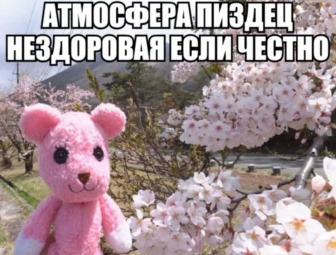 НЕЗДОРОВАЯ ЕСЛИ ЧЕСТНО