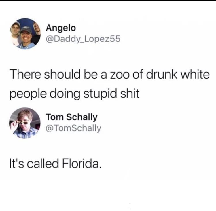 Angelo @Daddy_Lopez55 There should be a zoo of drunk white people doing stupid shit Tom Schally @TomSchally It's called Florida.