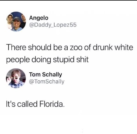 Angelo @Daddy_Lopez55 There should be a zoo of drunk white people doing stupid shit Tom Schally @TomSchally It's called Florida.