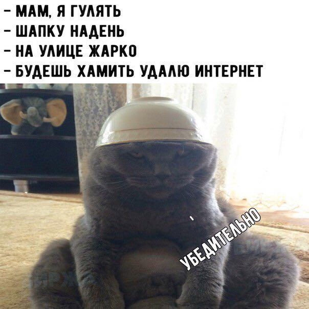 МАМ, Я ГУЛЯТЬ ШАПКУ НАДЕНЬ НА УЛИЦЕ ЖАРКО БУДЕШЬ ХАМИТЬ УДАЛЮ ИНТЕРНЕТ