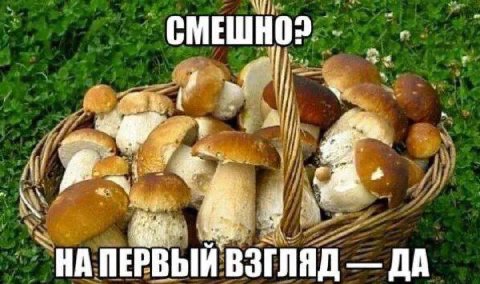 НА ВЗГЛЯД ДА