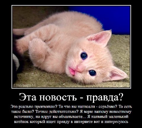 i. Эта новость правда? Это реально произошло? То что вы написали серьёзно? То есть такое было? Точнее действительно? Я верю вашему новостному источнику, но вдруг вы обманываете... Я наивный маленький 