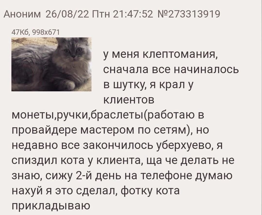 Аноним 26/08/22 Птн 21:47:52 №273313919 у меня клептомания, сначала все начиналось в шутку, я кралу клиентов монеты,ручки,браслеты(работаю в провайдере мастером по сетям), но недавно все закончилось у