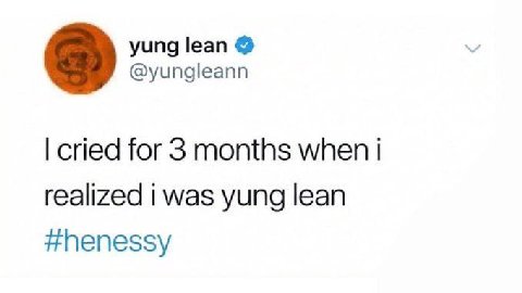 yung lean @yungleann cried for 3 months when realized i was yung lean #henessy