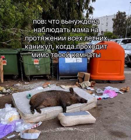 пов: что вынуждена наблюдать мама на протяжении всех летних каникул, когда прохбдит мимо