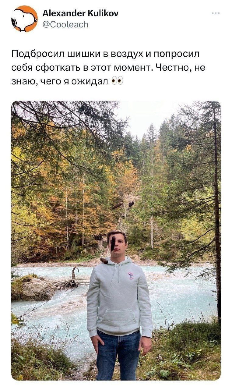 Alexander Kulikov @Cooleach Подбросил шишки в воздух и попросил себя сфоткать в этот момент. Честно, не знаю, чего я ожидал я AN AN я