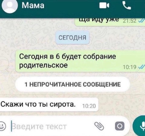 21 СЕГОДНЯ Сегодня в 6 будет собрание родительское 1 НЕПРОЧИТАННОЕ СООБЩЕНИЕ Скажи что ты сирота.