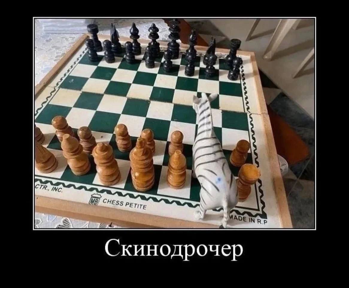 Скинодрочер