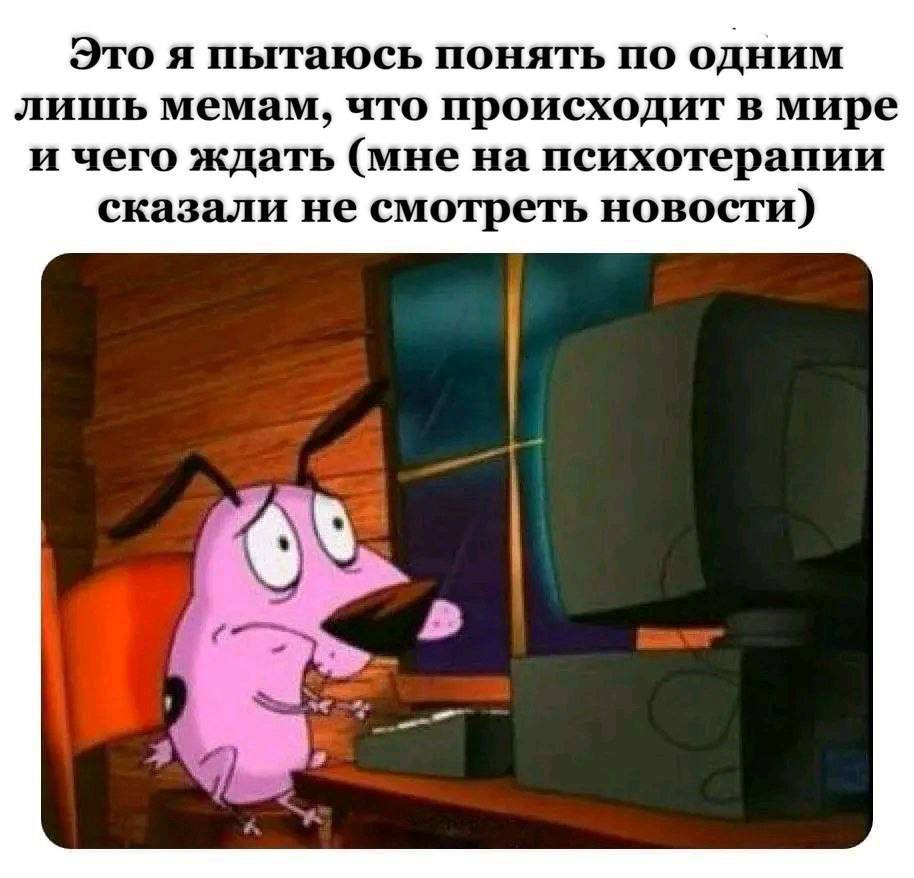 Это я пытаюсь понять по одним лишь мемам, что происходит в мире и чего ждать (мне на психотерапии сказали не смотреть новости)