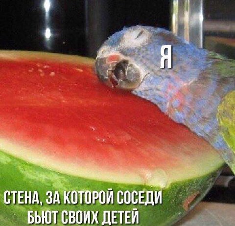 у СТЕНА, ЗА КОТОРОИ СОСЕДИ БЬЮТ СВОИХ ДЕТЕЙ