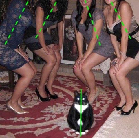 4 1 4 4