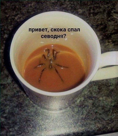 привет, скока спал севодня? А 4 i i