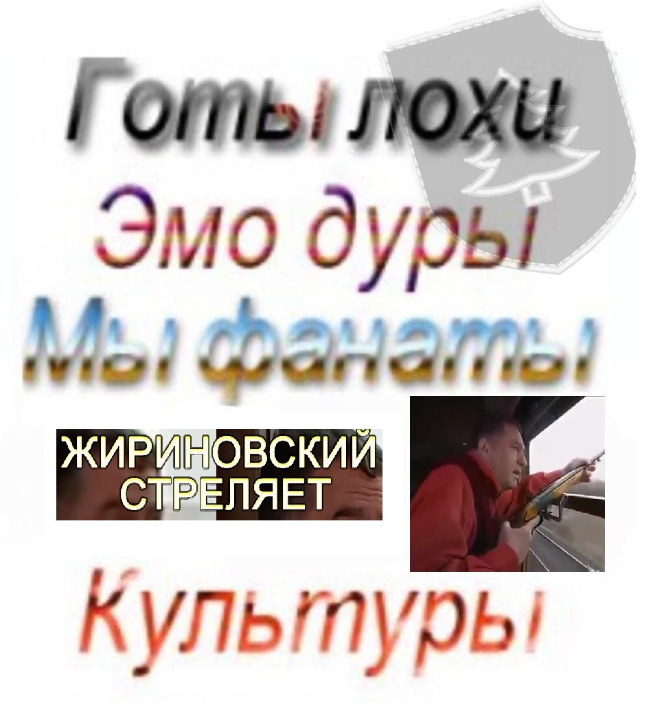 лохи Эмо дубы ЖИРИШОВСКИЙ СТРЕЛЯЕТ Культурь!