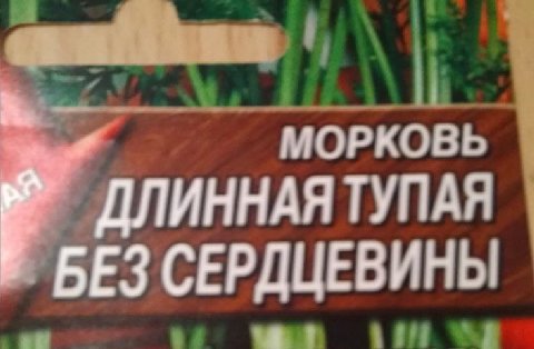 МОРКОВЬ ИННАЯ ТУПАЯ БЕЗ СЕРДЦЕВИНЫ a