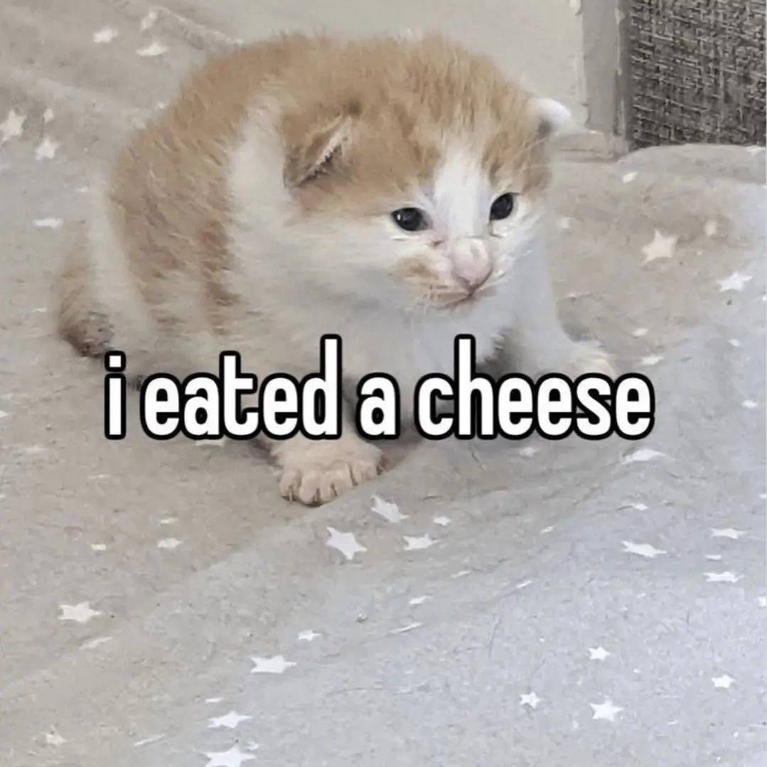chee
