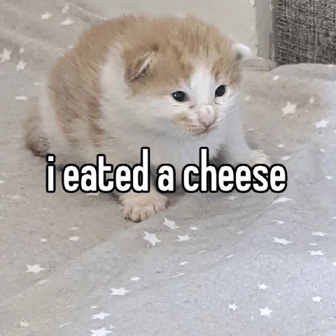 chee