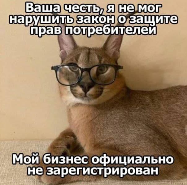 Ваша честь, я не мог нарушить закон о защите `прав потребителеи Мой бизнес официально не зарегистрирован