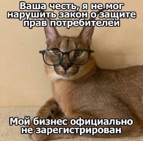 Ваша честь, я не мог нарушить закон о защите `прав потребителеи Мой бизнес официально не зарегистрирован