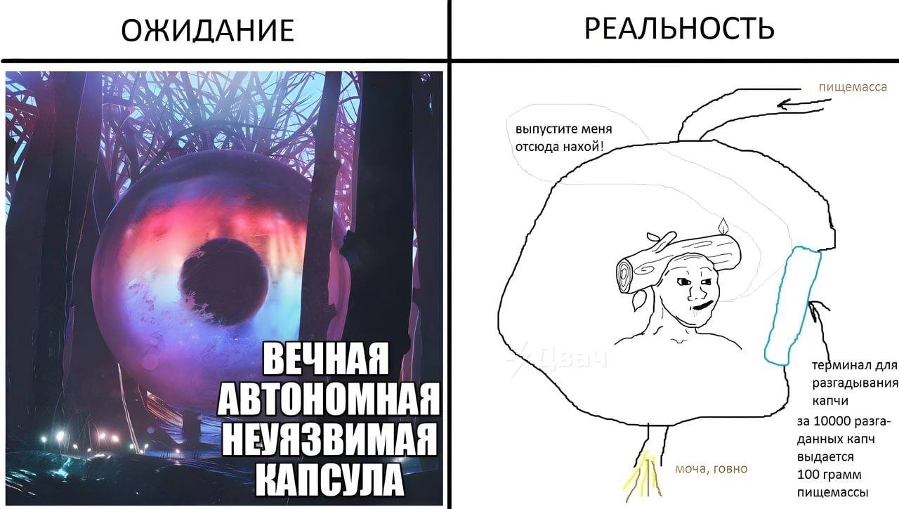 ОЖИДАНИЕ РЕАЛЬНОСТЬ я пищемасса К 4 11 4, выпустите меня отсюда нахой! терминал для ВЕЧНАЯ разгадывания капчи АВТОНОМНАЯ за 10000 разга- данных капч выдается моча, говно 100 грамм КАПСУЛА пищемассы IN
