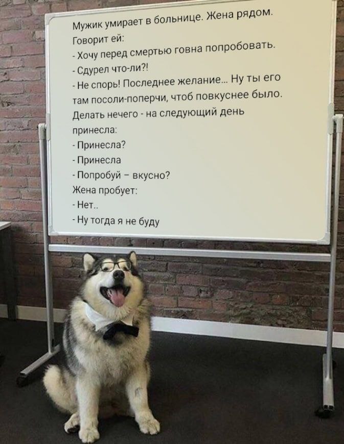 2 Мужик умирает в больнице. Жена рядом. Говорит Хочу перед смертью говна попробовать. Сдурел что-ли?! Не Последнее желание... Ну ты его там посоли-поперчи, чтоб повкуснее было. Делать нечего следующий