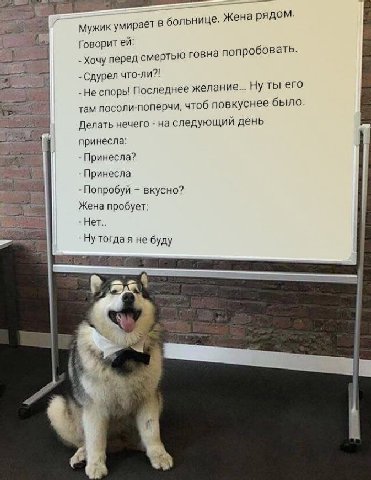 2 Мужик умирает в больнице. Жена рядом. Говорит Хочу перед смертью говна попробовать. Сдурел что-ли?! Не Последнее желание... Ну ты его там посоли-поперчи, чтоб повкуснее было. Делать нечего следующий